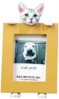 E & S FRAME 2X3 TABBY SILVER