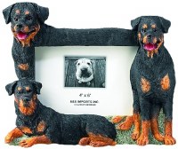 E & S FRAME 4x6 ROTTWEILER