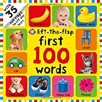 FIRST 100 WORDS LIFT THE FLAP BOOK
