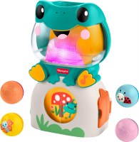 FISHER PRICE SEEK & FIND FROG