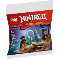 LEGO NINJAGO #30700 ARIN VS. GRAGONIAN