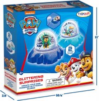 PAW PATROL DOME KIT