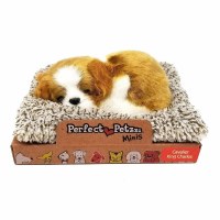 PERFECT PETZZZ MINI CAVALIER KING CHARLE