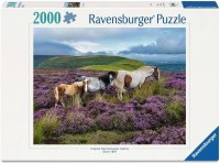 RAVENSBURGER PUZZLE 2000pc WILD HORSES