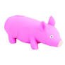 STRETCHY PIG
