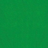 TISSUE PAPER GREEN 8CT