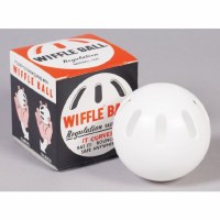 WIFFLE BALL SOFTBALL