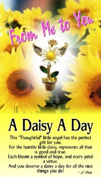 THOUGHTFUL ANGEL PIN A DAISY A DAY