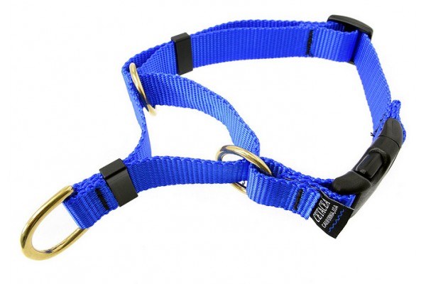 cetacea martingale dog collar