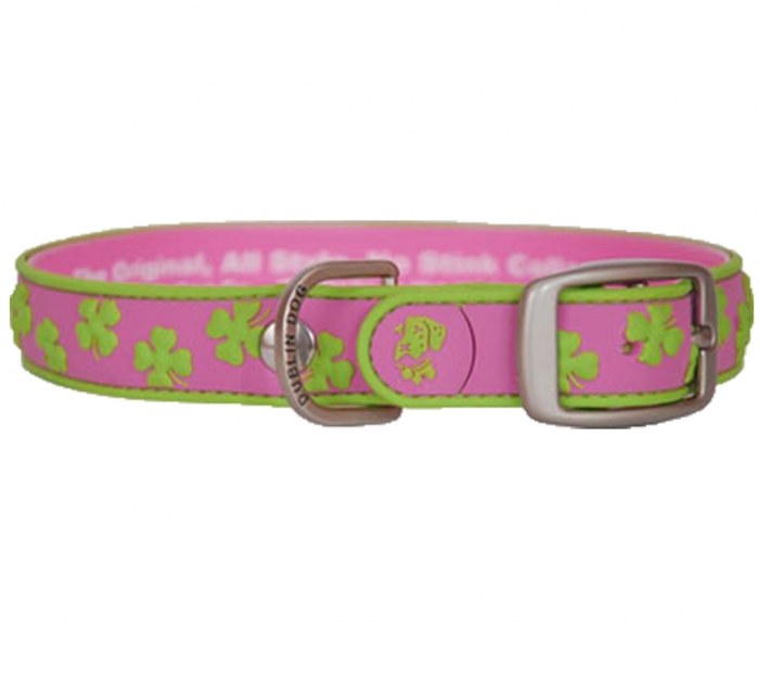 dublin dog collar