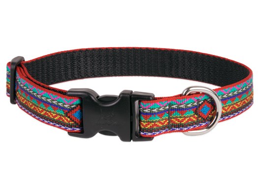 lupine dog collars and leads uk