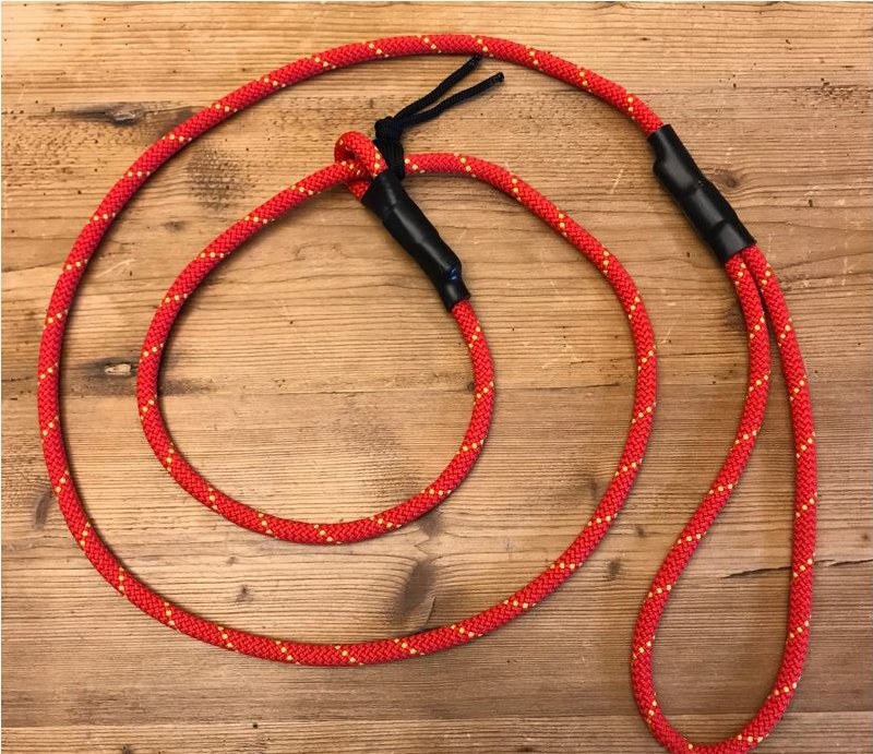 mountain dog slip lead