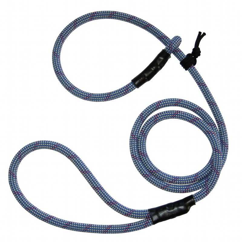 mountain dog lead