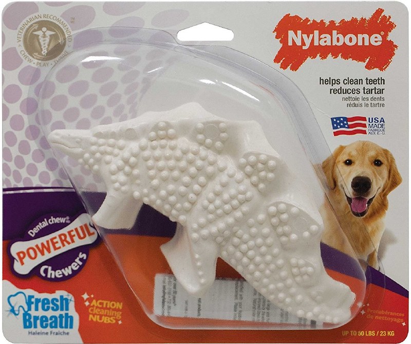 nylabone dinosaur chew large