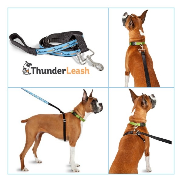 thunder leash for large dogs