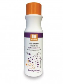 chitocure dog shampoo