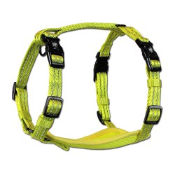 Alcott - Visibility Harness - Yellow - Medium