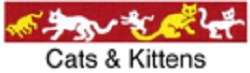 Beastie Bands - Cat Collar - Cats & Kittens
