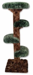 Beatrise - Cat Furniture - Paw Paw Tree - 5'