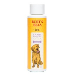 Burt's Bees - Calming Shampoo with Lavender & Green Tea - 16 oz