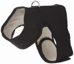 kitty holster harness