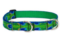 Lupine - 1" Wide Combo Collar - Tail Feathers - 19-27"