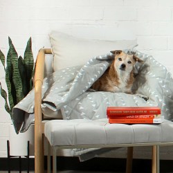 Molly Mutt - Pet Blanket - Be Still - Small