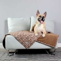 Molly Mutt - Pet Blanket - Daysleeper - Small