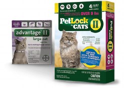 Petlock II - 9 lb and Over Cat - 4 months