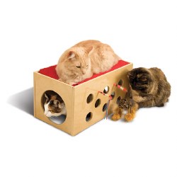 Smart Cat - Cat Furniture - Bootsie Bunk Bed and Play