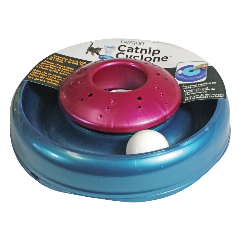 carolina mini aussie