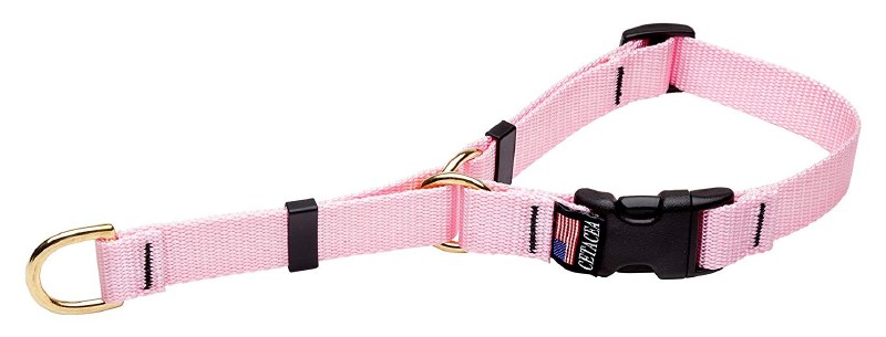 cetacea martingale collar