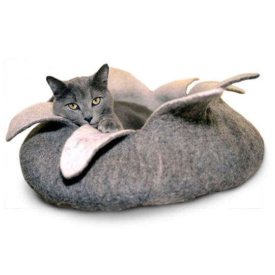 dharma cat bed