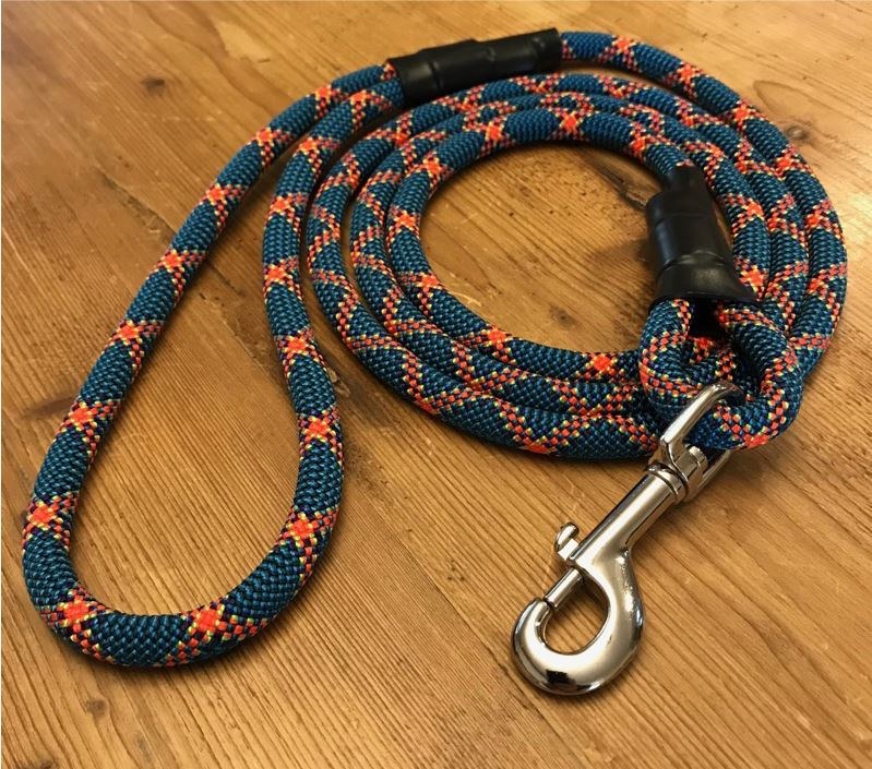 dog leash with 2 clips