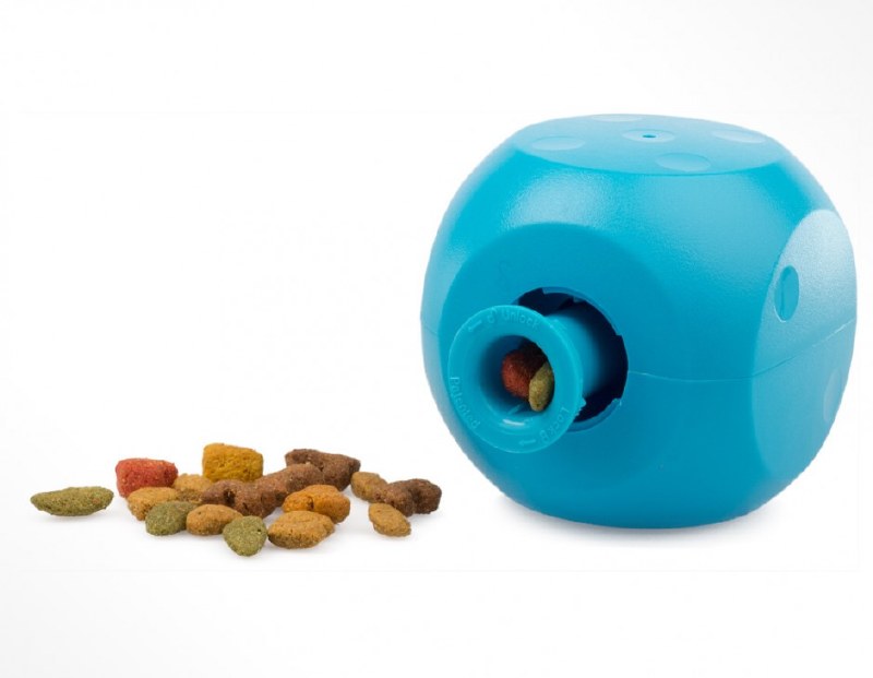 buster cube for dogs