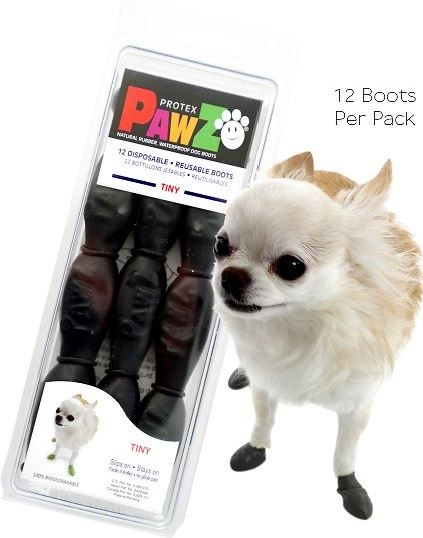 tiny dog boots