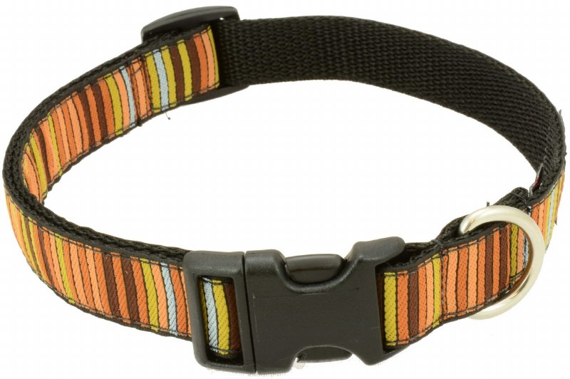 Silverfoot - Dog Collar - 16 Bit Brown - Medium - Phydeaux Raleigh