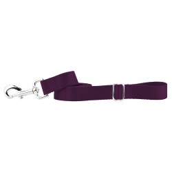 2 Hounds - Nylon Leash - Burgundy 1" Wide - 4 ft.