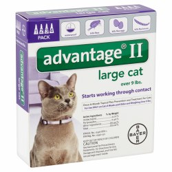 Advantage II - 9-18 lb Cat - 4 months