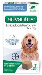 Advantus - Large Dog - 7 ct