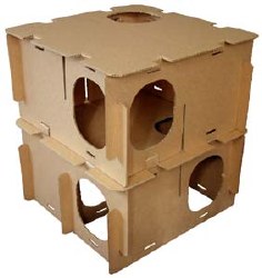 Binky Bunny - Mini Haven