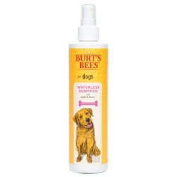 Burt's Bees - Waterless Shampoo Spray with Apple & Honey - 10 oz