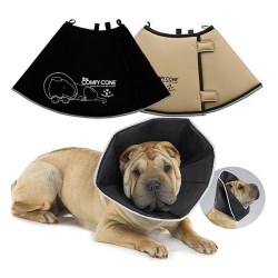 All For Paws - The Comfy Cone - Black - Medium