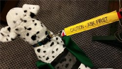 Color Pet - Leash Sleeve - Caution Ask First