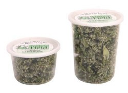 From the Field - Catnip Buds in a Tub - 1.0 oz