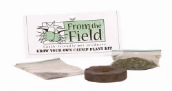 From the Field - Grow Your Own Catnip Plant Kit