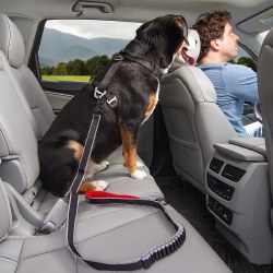 Kurgo - Seatbelt Leash Buckle