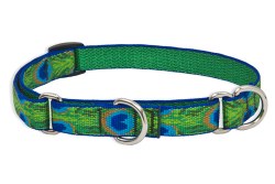 Lupine - 3/4" Wide Combo Collar - Tail Feathers - 10-14"