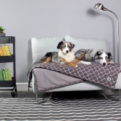 Molly Mutt - Pet Blanket - Clark Gable - Small