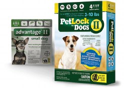 Petlock II - 3 - 10 lb- 4 months